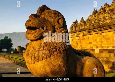 Testa leone nel complesso del tempio di Borobodur, Sito Patrimonio Mondiale dell'UNESCO, Java, Indonesia, Asia sud-orientale, Asia Foto Stock