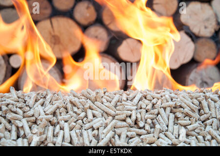 Pellet di pino in fiamme- dietro le fiamme ara legna Foto Stock