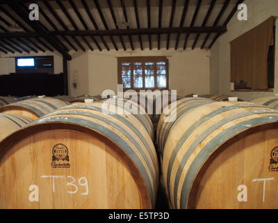 Foto di bianco botti di vino in una cantina toscana,campagna, Italia Foto Stock