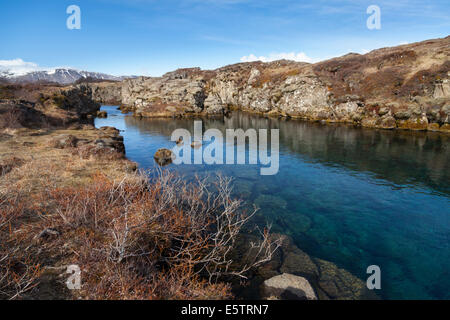 Turchesi acque cristalline da una sorgente naturale, Thingvellir National Park nel sud-ovest dell'Islanda Foto Stock