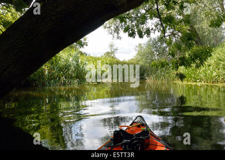 Canoa kayak sotto un albero sul fiume Stour tra Nayland e Bures, Suffolk / Essex Foto Stock