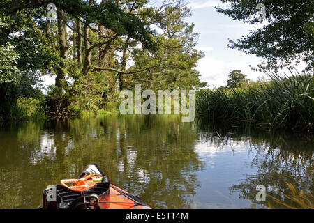 Canoa kayak sul fiume Stour Suffolk / Essex tra Nayland e Bures Foto Stock