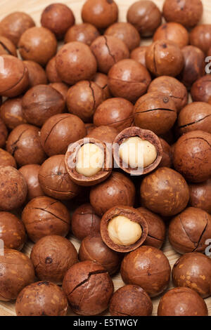 Sfondo di Macadamia Foto Stock