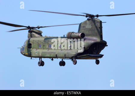 Paesi Bassi Air Force CH-47 elicottero Chinook durante la alimentazione di aria Demo a Royal Netherlands Air Force giorni Giugno Foto Stock