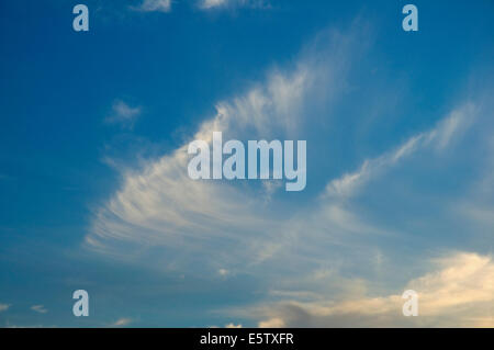 Un wisp di alta Cirrus nuvole in una serata estiva Foto Stock