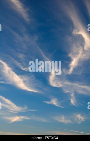 Un wisp di alta Cirrus nuvole in una serata estiva Foto Stock