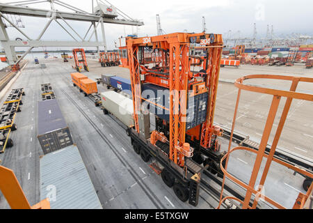 Contenitore mobile dello spanditore in azione a un terminale per container a Rotterdam. Foto Stock