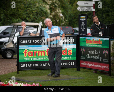 Nailcote Hall nel Warwickshire, Regno Unito. 6 agosto 2014. Azienda agricola alimenti British Par 3 Campionato a Nailcote Hall nel Warwickshire uk per pro,amatuer e celebrità di credito: Steven roe/Alamy Live News Foto Stock