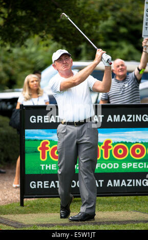 Nailcote Hall nel Warwickshire, Regno Unito. 6 agosto 2014. Azienda agricola alimenti British Par 3 Campionato a Nailcote Hall nel Warwickshire uk per pro,amatuer e celebrità di credito: Steven roe/Alamy Live News Foto Stock