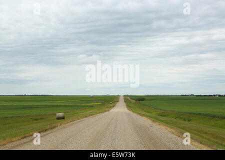 Una strada taglia attraverso i campi della prateria vicino a Kyle, Saskatchewan, Canada. Foto Stock