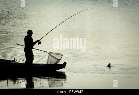 Il pescatore in barca cattura il pesce grande sul lago Twilight Foto Stock