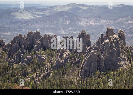 Visualizza modulo Harney picco a formazioni rocciose nel Custer State Park, Cattedrale guglie e aghi Foto Stock