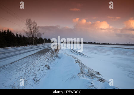 Lavori di soffiaggio della neve fruste attraverso il paesaggio di primavera come un crudele dello sciocco di aprile scherzo con una metà inverno sento & bitter wind chill Foto Stock