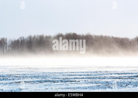 Lavori di soffiaggio della neve fruste attraverso il paesaggio di primavera come un crudele dello sciocco di aprile scherzo con una metà inverno sento & bitter wind chill Foto Stock