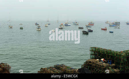 Nebbia di mattina al porto da pesca a Cascais, Portogallo Foto Stock