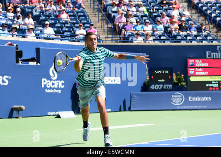 Toronto, Canada. Il 6 agosto, 2014. Nick Kyrgios dell Australia restituisce un colpo di Andy Murray della Gran Bretagna durante la Rogers Cup presso il centro Rexall il 6 agosto 2014 a Toronto, Ontario, Canada. Credito: Julian Avram/Alamy Live News Foto Stock