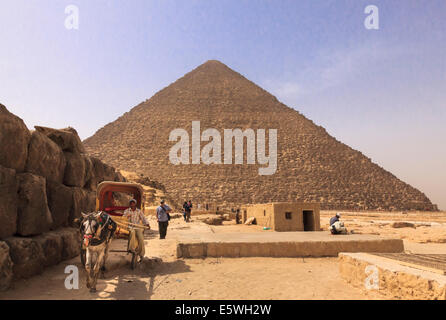 Grande Piramide di Giza in Egitto - Piramidi di Giza, con il cavallo e la spesa in attesa per i turisti Foto Stock