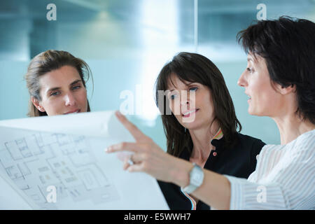 Architetti tenendo premuto fino blueprint per client di Office Foto Stock