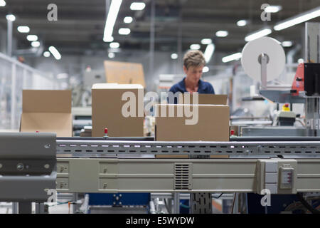 Donna matura lavorando in imballaggi di carta la fabbrica Foto Stock