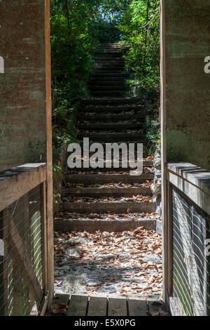 Legno duro pedonale piede di sospensione ponte e passi di fronte burrone giardini del Parco Statale di Palatka, Florida, Stati Uniti d'America. Foto Stock