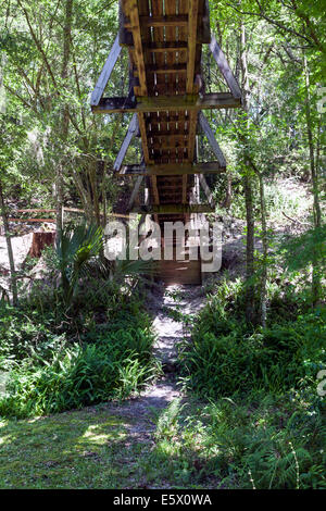 Il lato inferiore del legname pesante pedonale piede di sospensione ponte attraverso il burrone di Ravina giardini del Parco Statale di Palatka, Florida USA Foto Stock