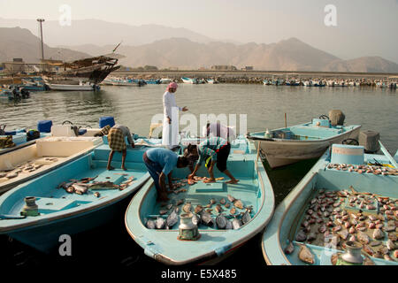 Mercato del Pesce, Dibba, Oman Foto Stock