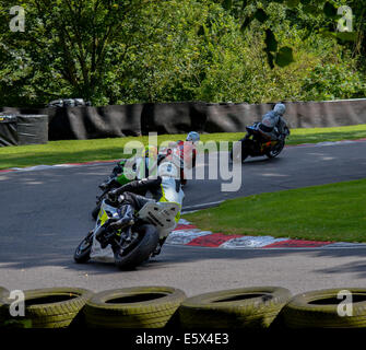 Moto racing,Cadwell Park,Lincolnshire Foto Stock