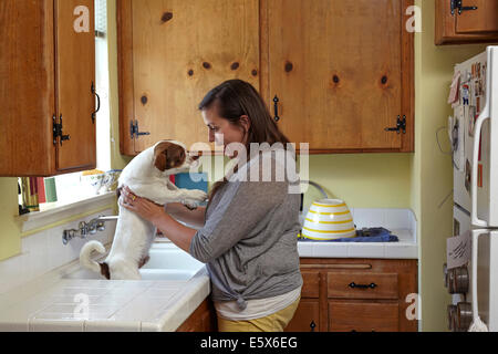 Metà donna adulta cane di balneazione nel lavello da cucina Foto Stock