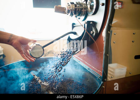 Femmina lato utilizzando caffè industriali macchina di torrefazione del caffè Foto Stock