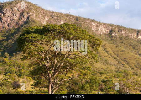 Bellissimo paesaggio accanto ad alto Paraiso , stato di Goiás in Brasile Foto Stock