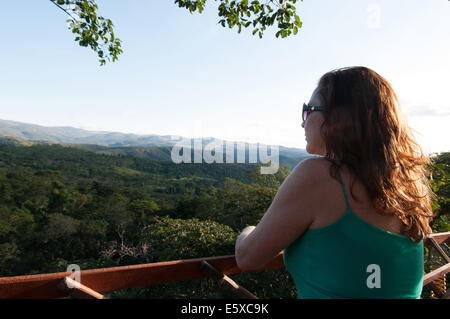 La donna in un albero di casa Stato di Goias Brasile Foto Stock