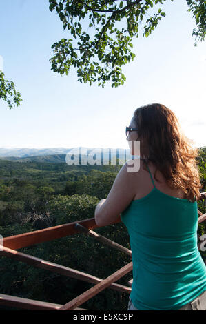 La donna in un albero di casa Stato di Goias Brasile Foto Stock