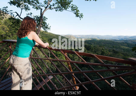 La donna in un albero di casa Stato di Goias Brasile Foto Stock