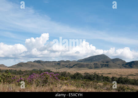 Scenario accanto a Chapada dos Veadeiros Parco Nazionale del Brasile Foto Stock