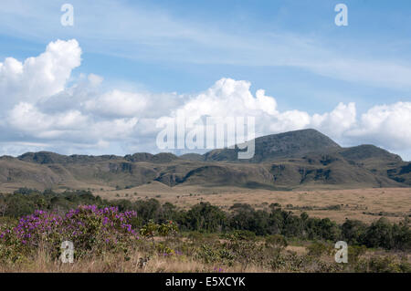 Scenario accanto a Chapada dos Veadeiros Parco Nazionale del Brasile Foto Stock