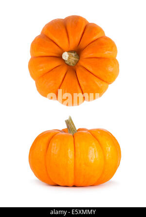 Mini zucche arancione isolato su uno sfondo bianco. Vista dall'alto e laterale. Foto Stock