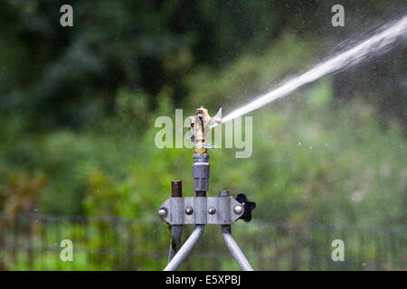 Rain Bird in ottone regolabile del rotore di impatto Sprinklerhead inviando un flusso di acqua verso il lato destro Foto Stock