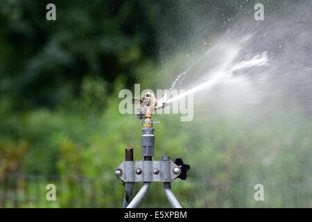 Rain Bird in ottone regolabile di impatto della lama del rotore di colpire un flusso di acqua sul lato destro della testina sprinkler Foto Stock