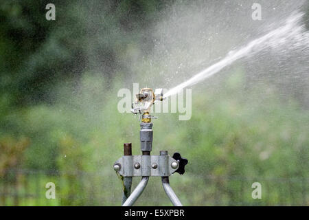 Rain Bird in ottone regolabile di impatto della lama del rotore di colpire un flusso di acqua sul lato destro della testina sprinkler Foto Stock