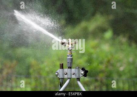 Rain Bird in ottone regolabile del rotore di impatto Sprinklerhead inviando un flusso di acqua in avanti e a sinistra Foto Stock