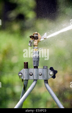 Rain Bird in ottone regolabile del rotore di impatto Sprinklerhead inviando un flusso di acqua verso il lato destro Foto Stock