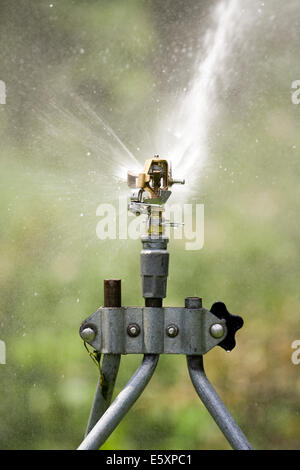 Rain Bird in ottone regolabile del rotore di impatto Sprinklerhead inviando un flusso di acqua in avanti Foto Stock