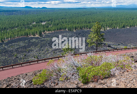 Oregon, Newberry nazionale monumento vulcanico, Lava Butte, summit road, campo di lava vista dal Crater Rim Trail Foto Stock