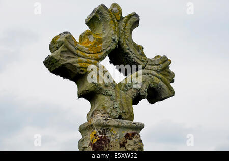 La fine del XII secolo sito monastico sull isola Devenish, inferiore del Lough Erne, County Fermanagh, Irlanda del Nord. Foto Stock