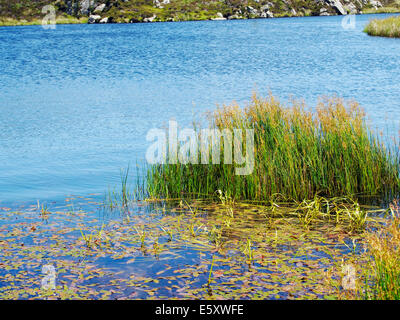 Lough O' Muilligan sotto Slieve League costituisce un luogo tranquillo al di sopra delle scogliere inferiore sopra la testa Carrigan Foto Stock