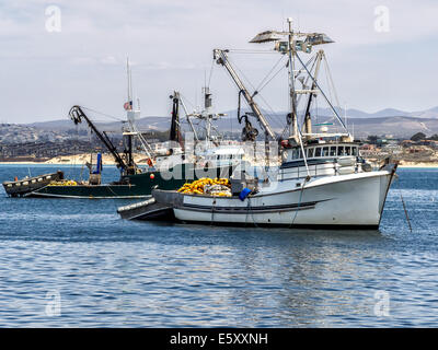 Pescherecci nel porto di Monterey, California USA Foto Stock