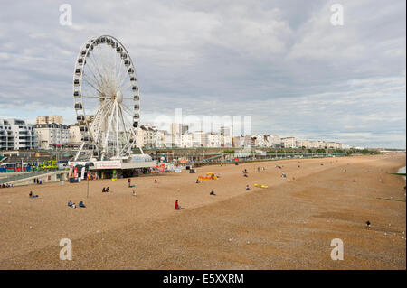 Vista sulla spiaggia e ruota turistica a Brighton East Sussex England Regno Unito Foto Stock