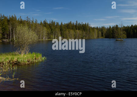 La natura di Kladská, Repubblica Ceca, stagno e la caccia-lodge nel centro del paesaggio protetto area di Foresta di Slavkov Foto Stock