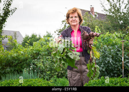 Felice senior donna raccolta self coltivati ortaggi Foto Stock