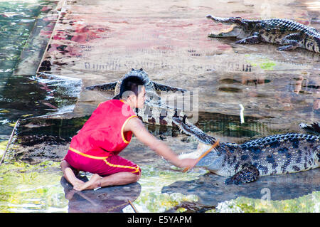 Crocodile show a Samphran Crocodile Farm il 24 maggio 2014 in Nakhon Pathom,della Thailandia. Foto Stock